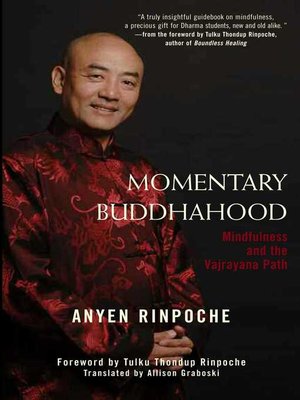 cover image of Momentary Buddhahood